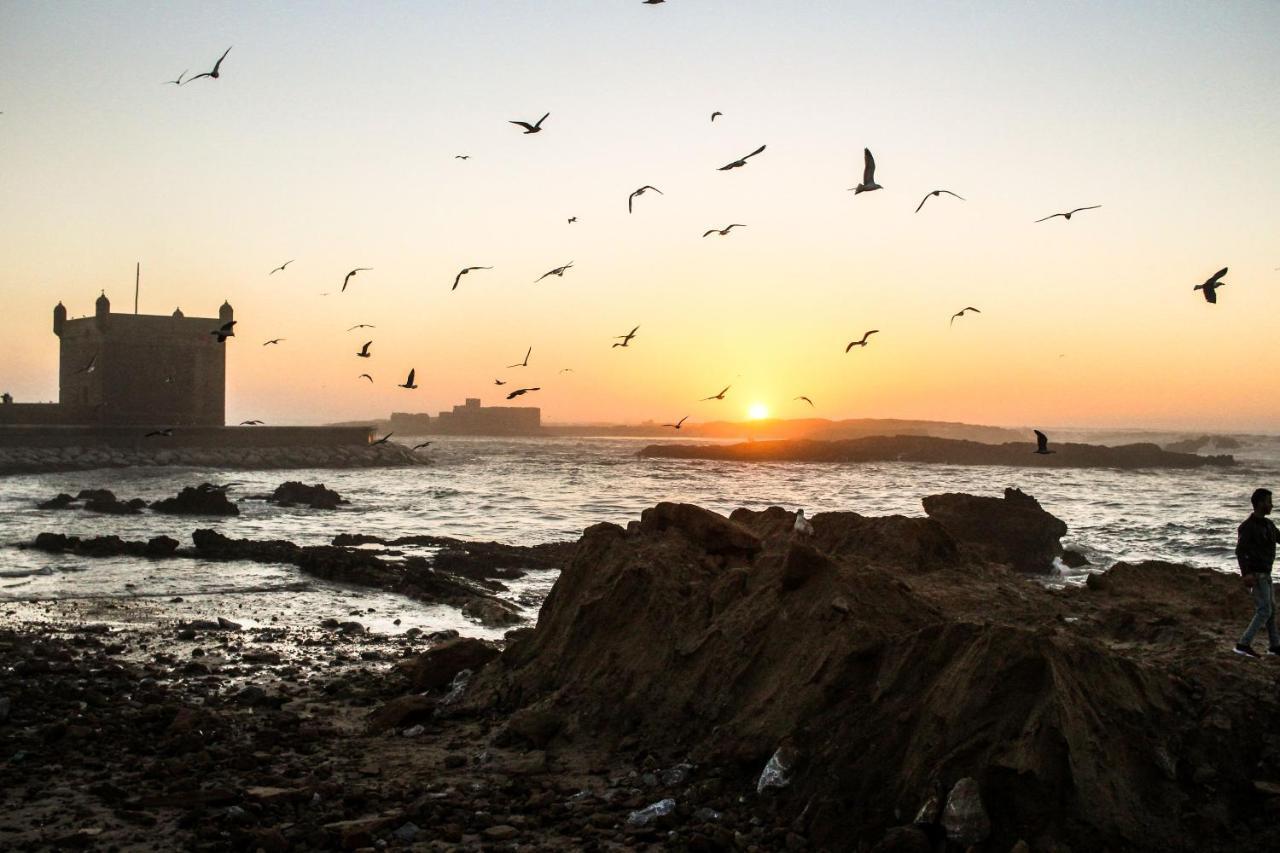The Chill Art Hostel Essaouira
